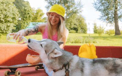 Recognizing and Preventing Heatstroke in Animals